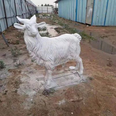 玻璃钢动物羊雕塑 山羊雕塑 雕塑厂家